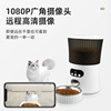 Video Edition 6L Waistline Voice Shout pet automatic intelligence Feeder Cats and dogs automatic Feeding