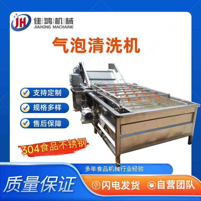 全自动大型果蔬气泡清洗机 莴笋喷淋果蔬清洗机 芸豆清洗设备佳鸿
