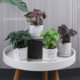 in stock imitation marble base plastic green plant potted desktop PU feel fake leaf stone bonsai TEMU supply