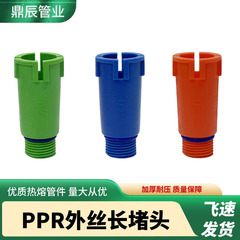 4分20PPR外丝堵头长款带密封圈堵头家用水管试压堵头塞子跨境直发