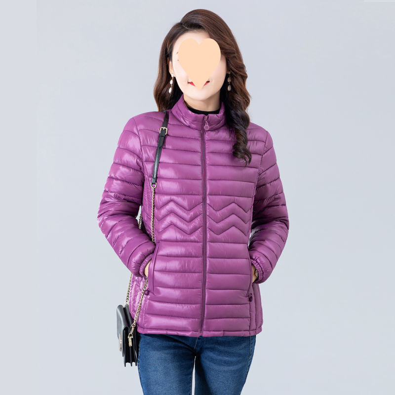 타로 퍼플 라이트 H