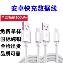 �F؛������TYPEC��侀 2A��는����� PVC�m����ӮaƷ��ɫ������