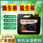 生根剂 爆发生根 强力生根 不含激素 主根长 须根多