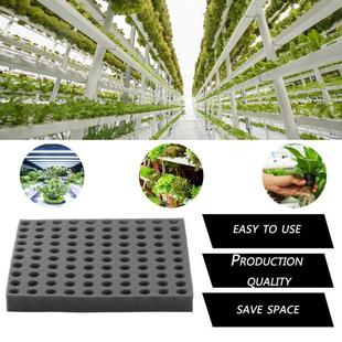Seedling sponge hydroponic planting sponge planting cotton concave hole cross soilless cultivation vegetable square sponge block in stock