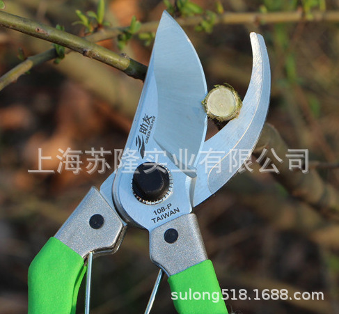 助友ZY108-P修枝花剪 果树采摘剪 盆景采摘修枝手剪