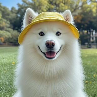Summer Dog Hat with Exposed Ears, Sun Protection Fisherman Hat, Teddy Bichon Pomeranian Small Size Dogs Cat Hood