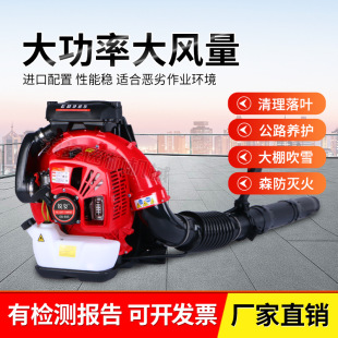 ��ؓʽ�L�����C�������ʹ��L�C���L�C���س��mɭ�����ﴵѩ�C