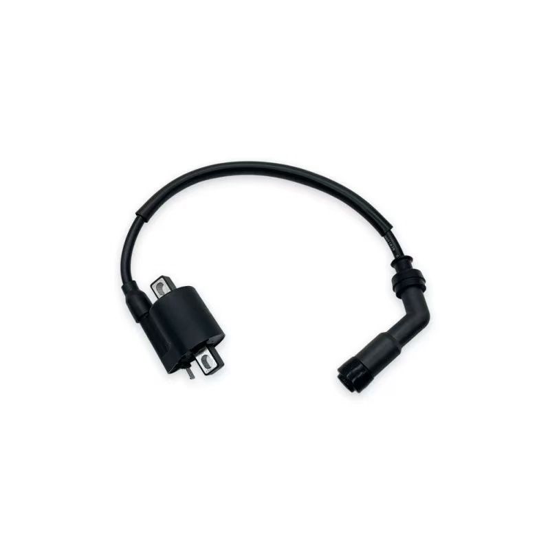 Loncin Yb300H/Yb250R Engine High-Voltage Package Electrical Components Are Suitable for Hengjian S7, Kewei Si Zuma S6