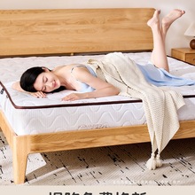 ������˯��&middot;�����ݡ���������20cm��������Ӳ���|��ϯ��˼ܛ�|