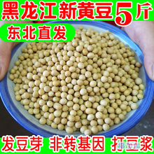 东北小黄豆打豆浆豆农家自种5斤散装新鲜大豆发豆芽