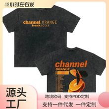 Frank Channel Orange Vintage Washed T Shirt Blond R&B Album