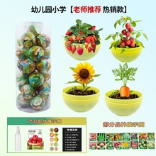 ��ͯ�NֲС���ԿƌW�^��ˮ����ݮ��������С���rֲ��ä�аlѿ�r��