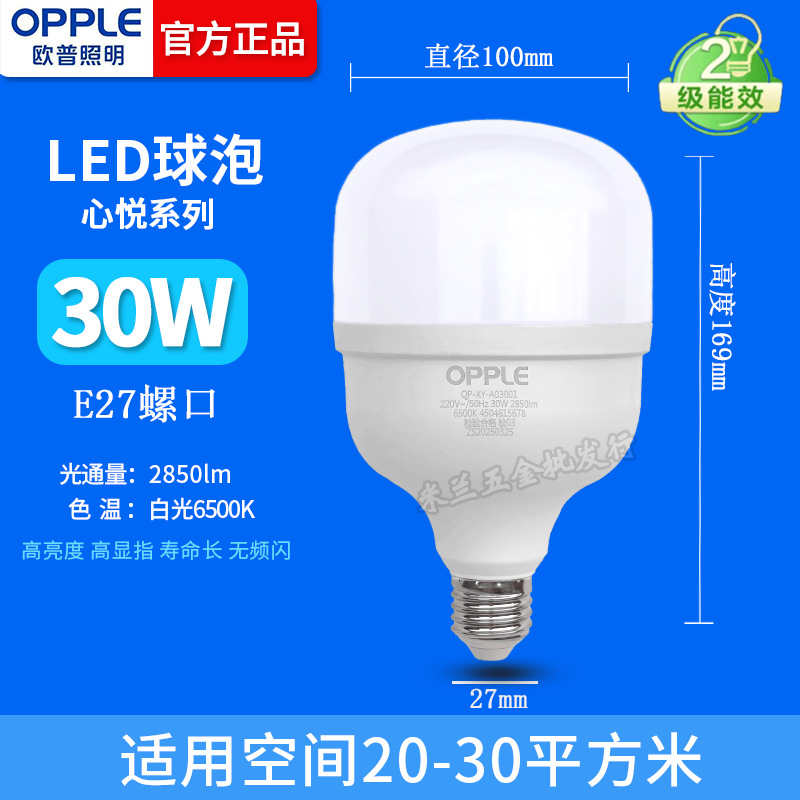 Iluminación OPP 30w burbuja esférica