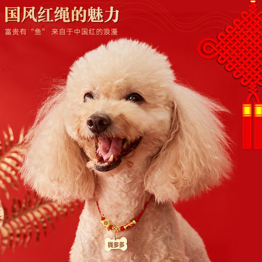Cat Collar Engraved Name New Year Dog Bell Dog Brand Engraved Anti-lost Jewelry Necklace Pet Collar Accessories