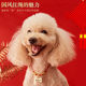 Cat Collar Engraved Name New Year Dog Bell Dog Brand Engraved Anti-lost Jewelry Necklace Pet Collar Accessories
