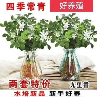 ���������Ի��܎������Gֲ�������ļ��_��������ó��vֲ���辰��