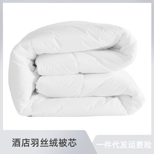 Hotel bedding quilt white hotel special linen winter quilt four seasons spring and autumn summer air conditioning feather velvet quilt core