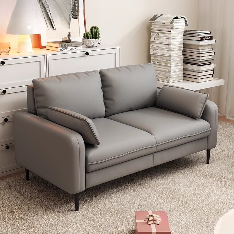 Cat Claw Leather Small Apartment Sofa Two or Three Persons Modern Casual Living Room Office Apartment Rental Light Luxury Clothing Store