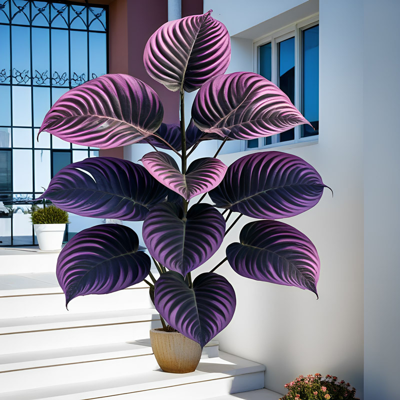 Simulation Green Planting Plastic Violet Taro Leaves Cross Border After Simulation Tree Home Living Room Outdoor Garden Floor Decoration