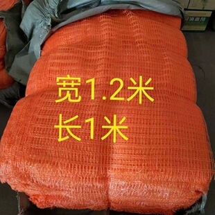 (10��)���Q�����W�Q�W�B�Q�坍�W��ɳ�W�S�W1.2��*1��