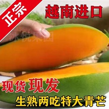 ������Խ�ϴ���â!��Ƥ��â��!�o�zâ������ˮ�����rˮ����Ұâ��