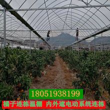 厂家包工包料广东连体温室棚 果蔬大棚 遮阳连栋棚 养殖棚 种植棚