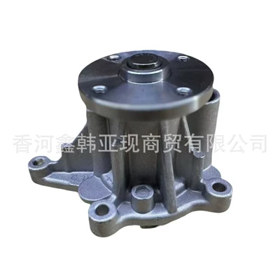 Pump 25100 2m020, Water pump
