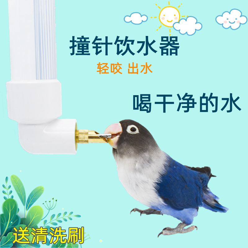 鹦鹉饮水器撞针喝水壶大号自动喂水器小中型宠物龙猫外挂兔子水杯