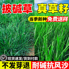 ͺͺo¹|ݷN}|زѾGLɳļݷN