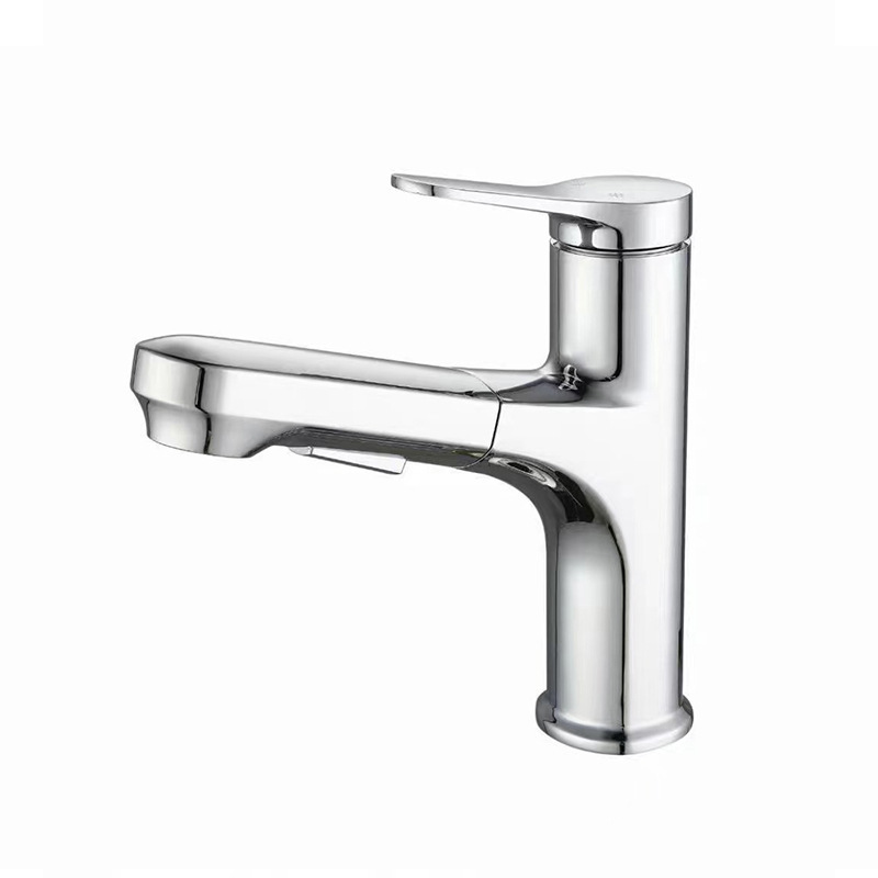 전기 도금 듀얼 모드 물 출구 (물 입구 파이프)