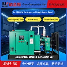 20-3000KWȼl늙CMӚlBֳȻlվڶ_˹