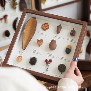 �˱�������w�п�����ֹ�diy�ɻ��������x�����N�ӱ���չʾ����