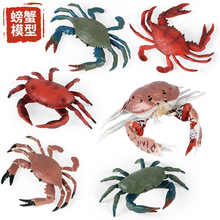 儿童仿真认知螃蟹面包蟹梭子蟹青蟹寄居蟹实心海洋模型玩具摆件