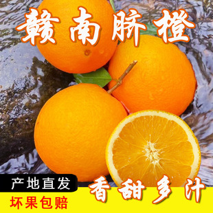 ��Ě���M�����rˮ�����ք������̲�a��ֱ�l������]ֱ��ե֭��֭