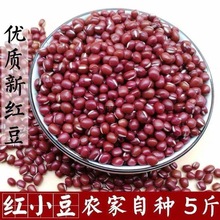 红豆薏米东北红2农家五谷杂粮赤小豆豆浆红豆5斤小斤营养绿豆食用