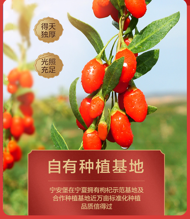 Ningxia Goji Berries Premium Dried Red Wolfberry 250g Jar Ready to Eat key features