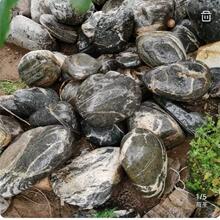 泰山石敢當原石靠山石奇石山上石头未免费可刻字