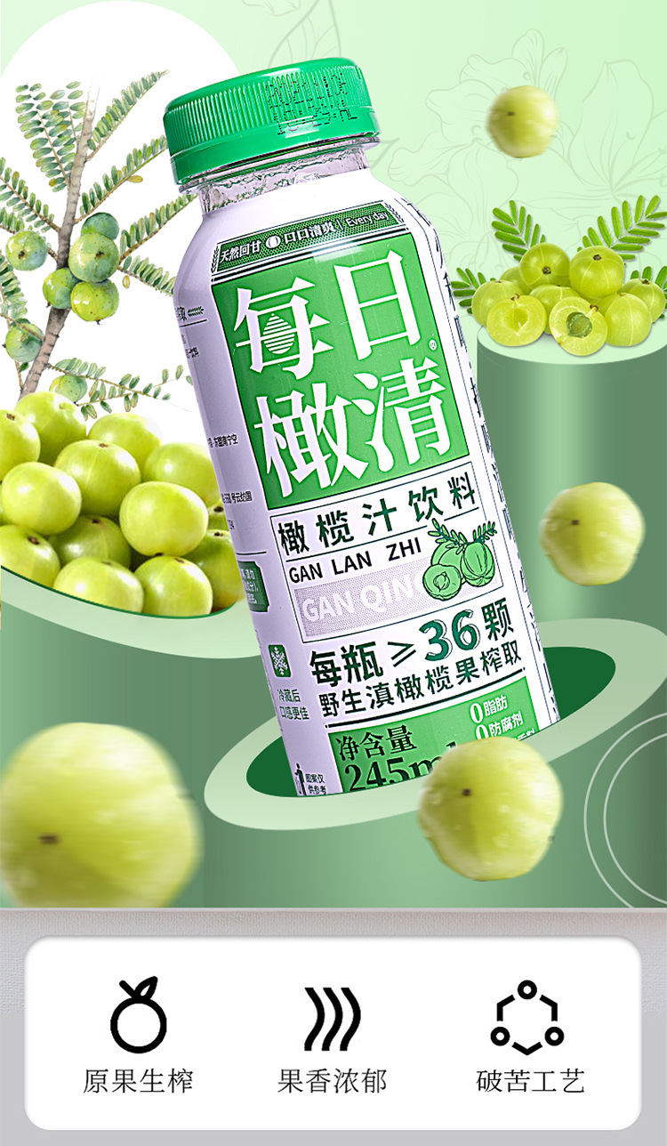 每日橄清滇橄榄汁245ml/瓶油柑果汁原汁油柑余甘子饮料批发-阿里巴巴