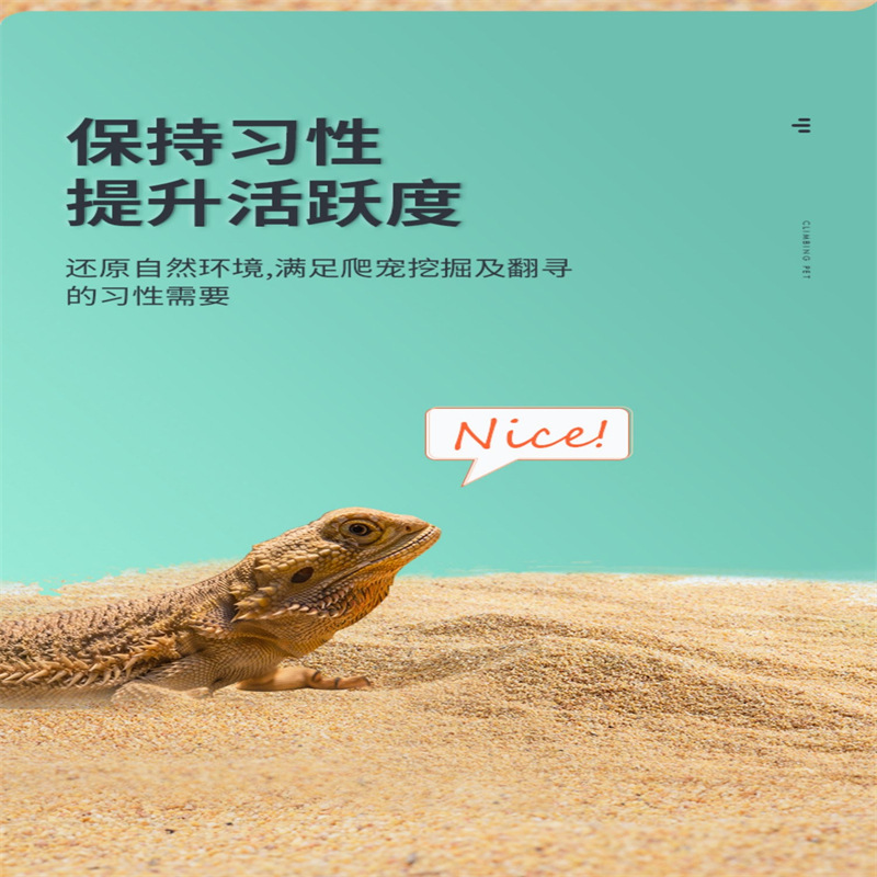宠物爬虫砂 (7)