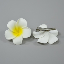 ��߅ɳ���ȼٻ���l�A�^� �����u����5CM���A�� ���Ռ����b�