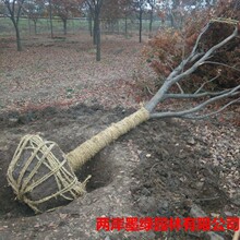 ���K�Θ���س���  5���� �Θ��� ���η�֦�Uֱ С�^��·���е���