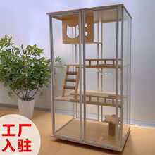 ¿A؈epȫ͸؈\ӌľֳ\҃ȼ؈