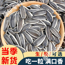 24؛ ɹ363wԭζF25ɢbԭe