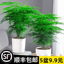 ��������ֲ���҃ȃ����՚��k�����辰�ļ�����С���ԾGֲ��������