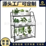 跨境经济型组装多功能花架