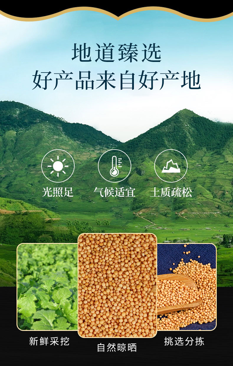Bai Jie Zi Powder (Sinapis alba) — White Mustard Seed Herbal Powder, 500g overview