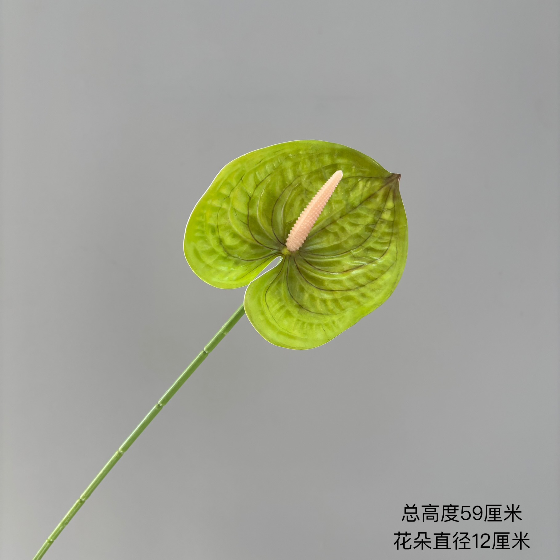 밝은 녹색