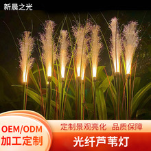 光纤芦苇灯文旅灯具庭院地插灯户外插地草坪装饰防水发光景观灯