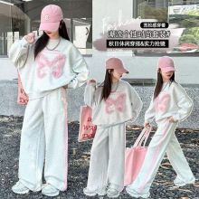 2025秋款儿童时尚潮范蝴蝶卫衣套装中大童女童宽松休闲运动两件套