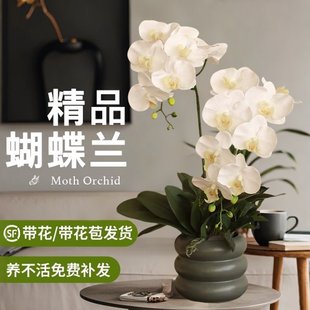 �����m���Ԏ������ﶬ�ͺ��r���ܾGֲ���҃��m������׻���_��